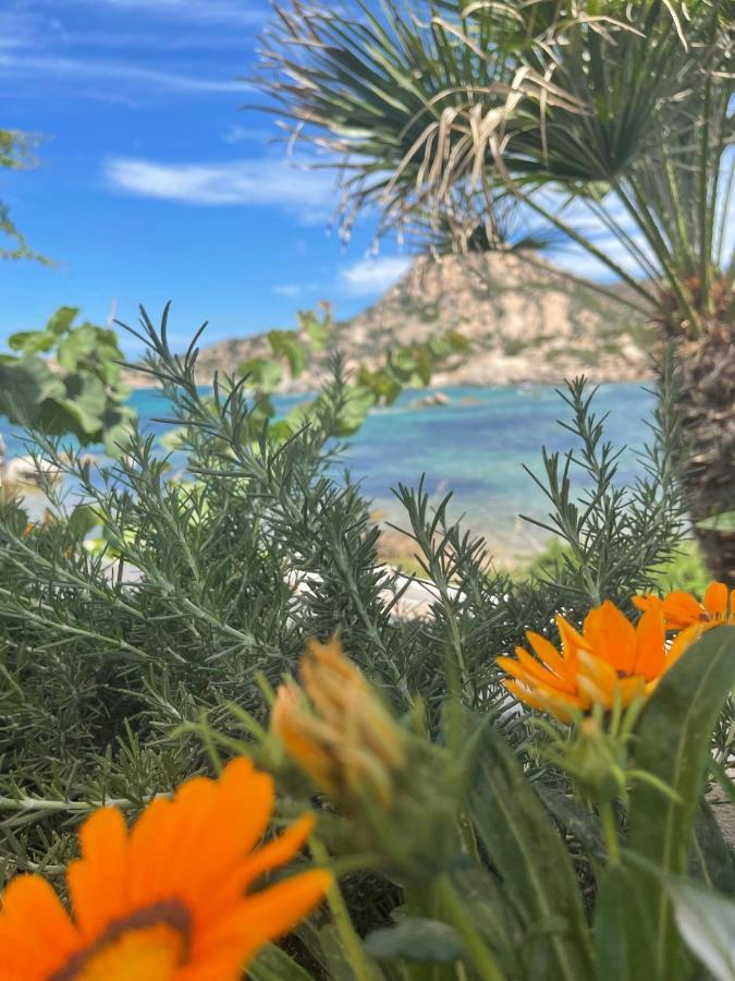 Casa Mac Βίλα Valledoria  Εξωτερικό φωτογραφία